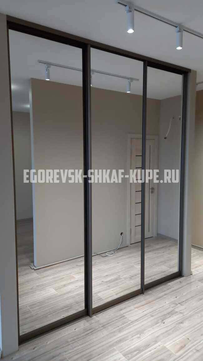 Встроенные шкафы-купе Егорьевск